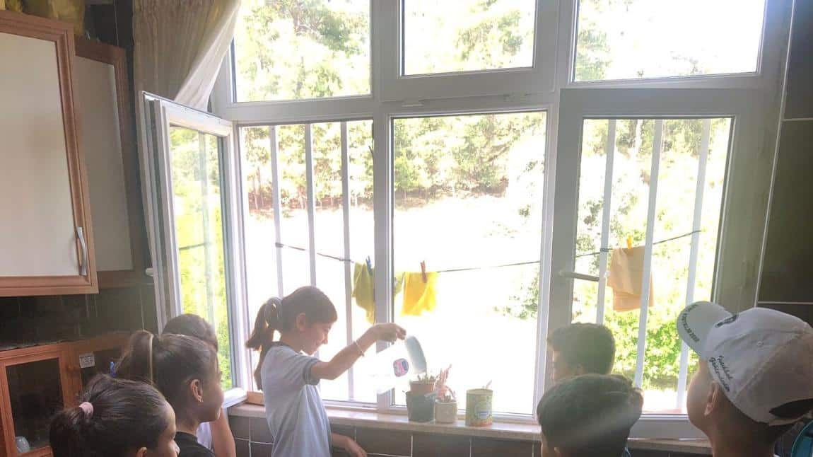 Yaşam Becerileri 5/A Bitki Bakımı